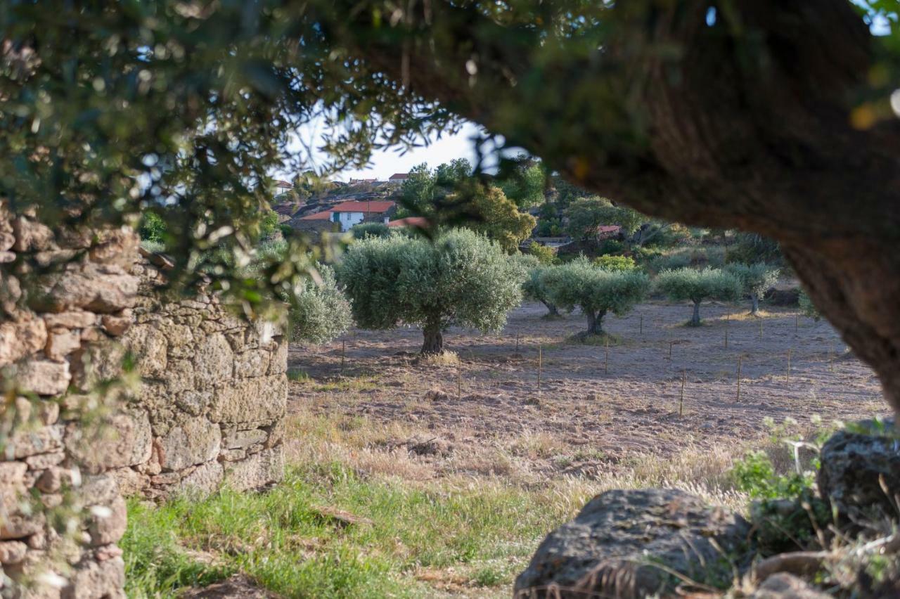 Cidadelhe Rupestre Turismo Rural Exterior photo